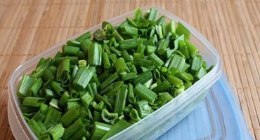 Top 13 receptů, jak sklízet zelenou cibulku na zimu